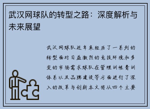 武汉网球队的转型之路：深度解析与未来展望
